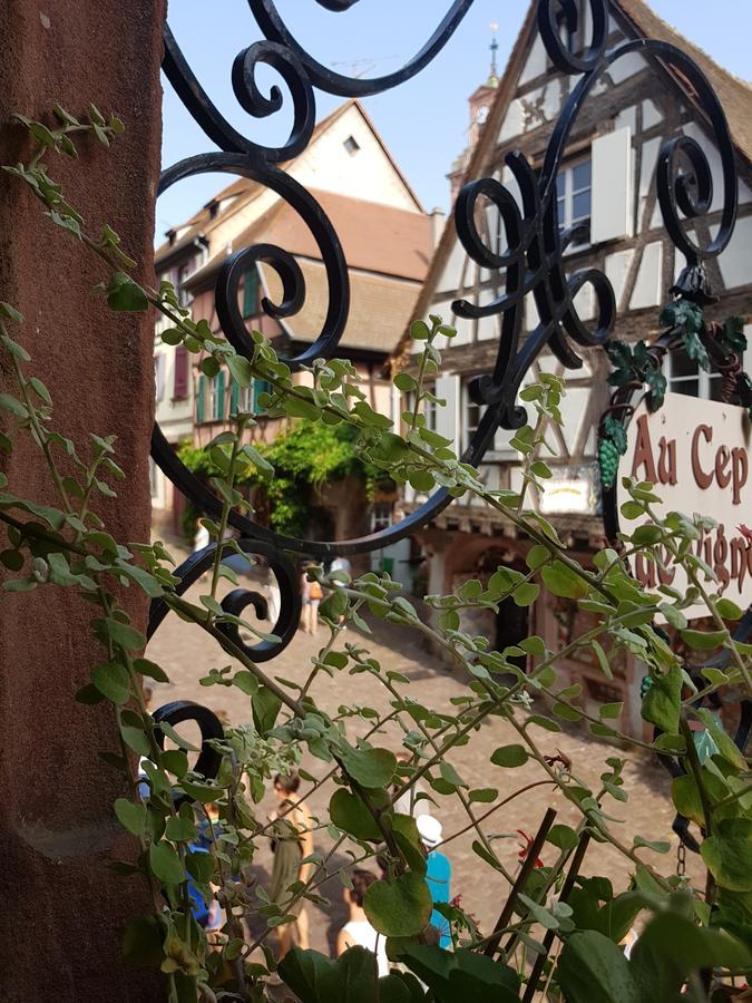 Bed and Breakfast Au Cep De Vigne Рикевир Экстерьер фото